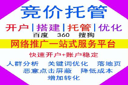 行业领先的SEM策略：成功案例与经验分享